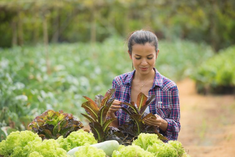 sustainable farming in USA